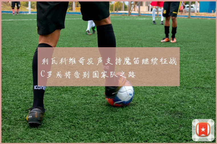利瓦科维奇发声支持魔笛继续征战C罗或将告别国家队之路